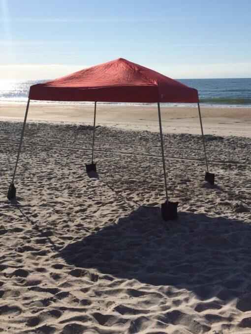 10' x 10' Canopy (F8) - Image 3