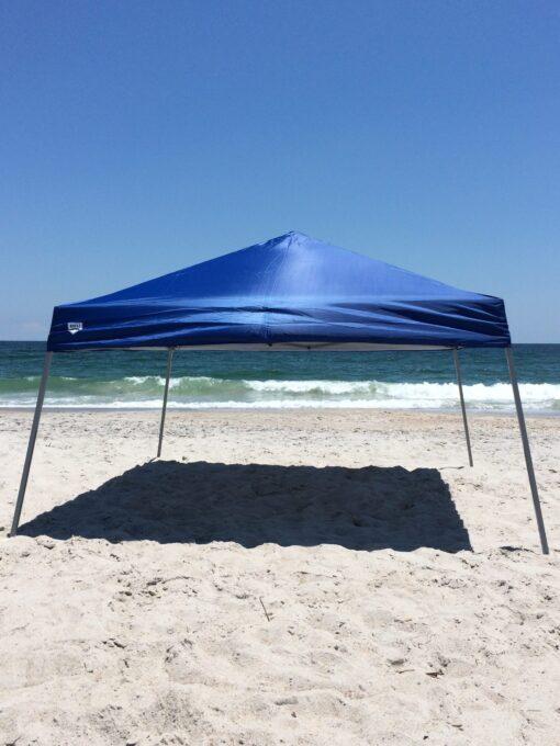 10' x 10' Canopy (F8) - Image 4